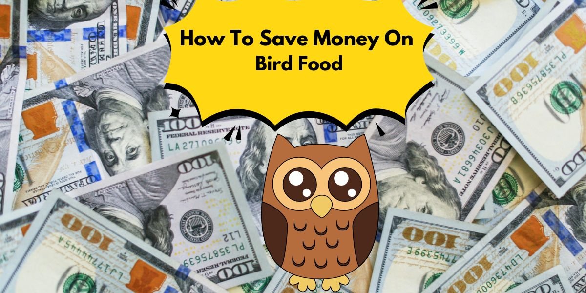 How to Save Money on Bird Food