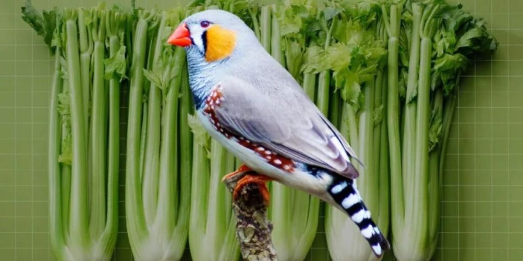 do birds eat celery