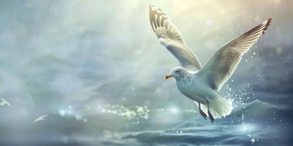 dead seagull meaning