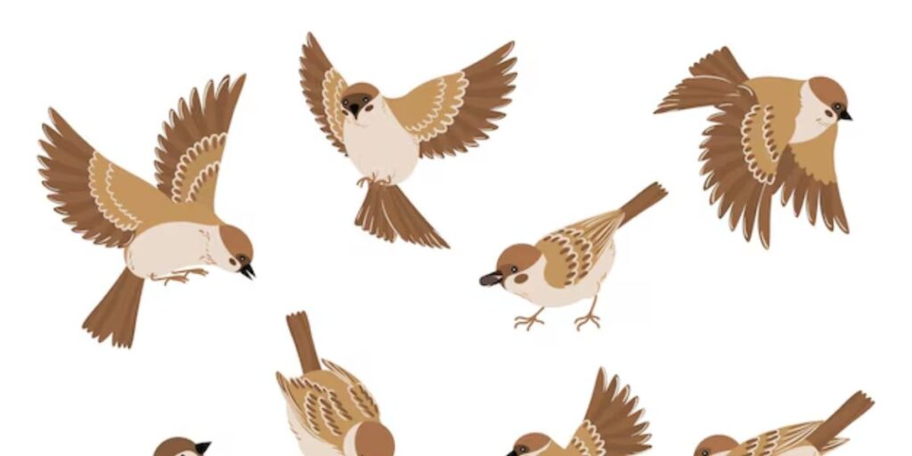 symbolism of a sparrow