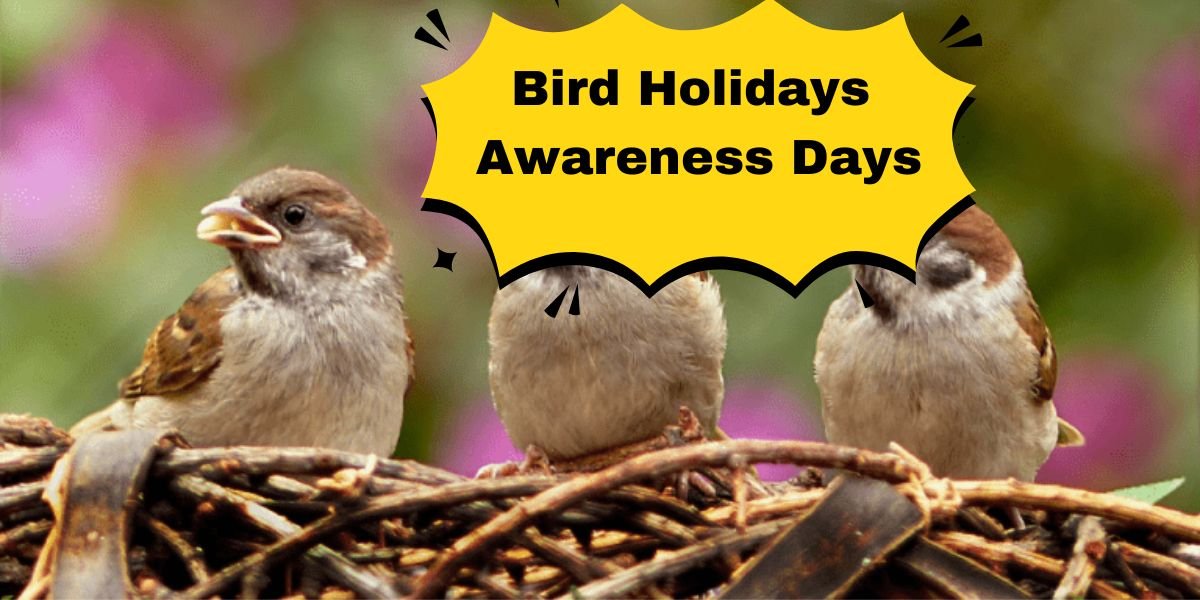 Bird Holidays Awareness Days