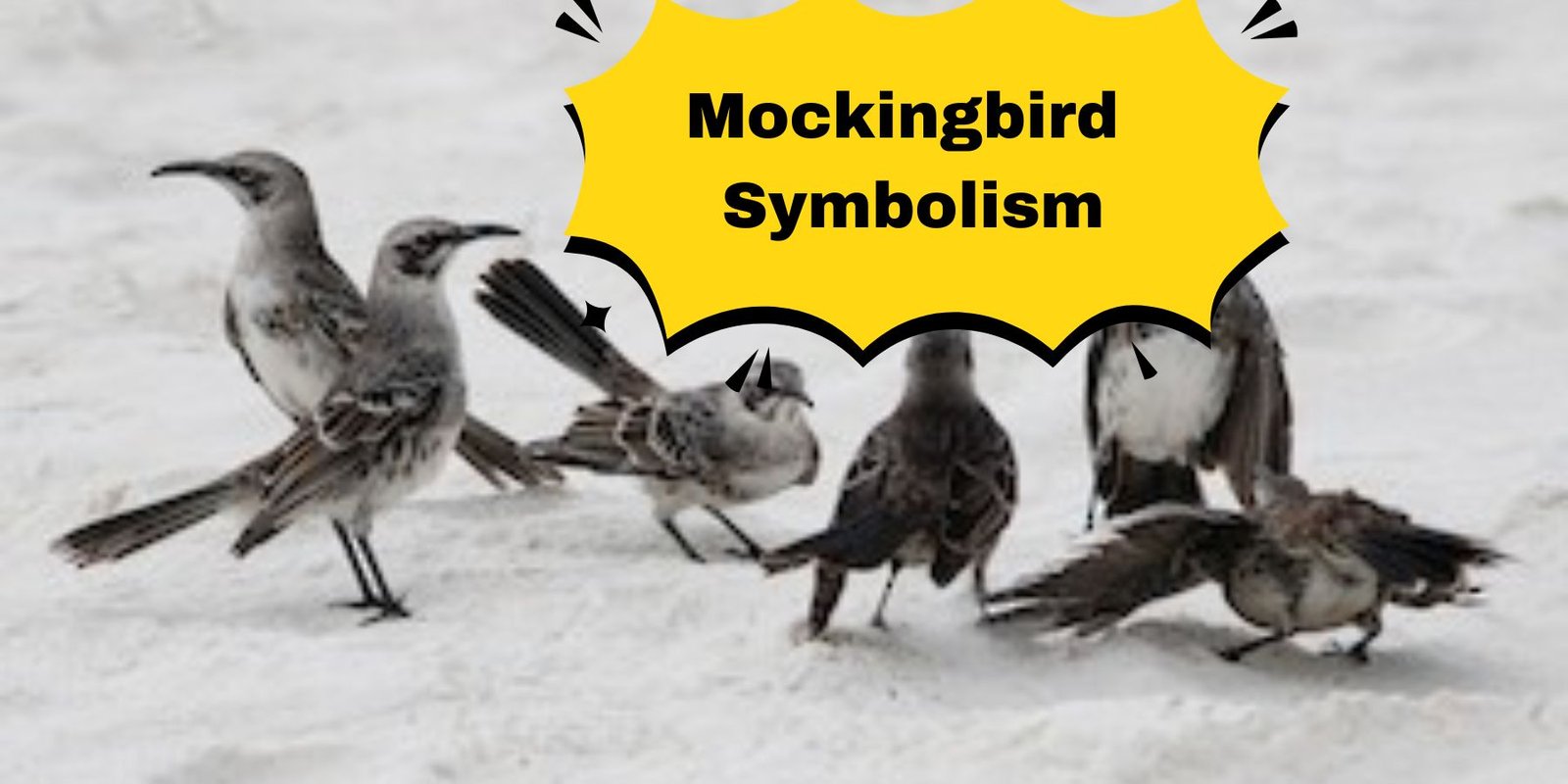 Mockingbird Symbolism
