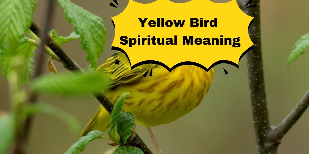 Yellow Bird Spiritual Meaning