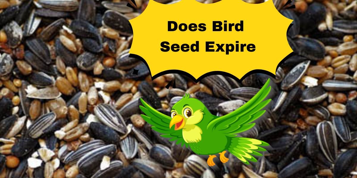 does bird seed expire